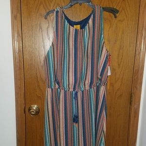 Nwt RUBY RD PLUS SZ 1X MAXI DRESS